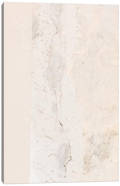 Blush Texture, Florence, Italy Canvas Art Print - Transitional Décor