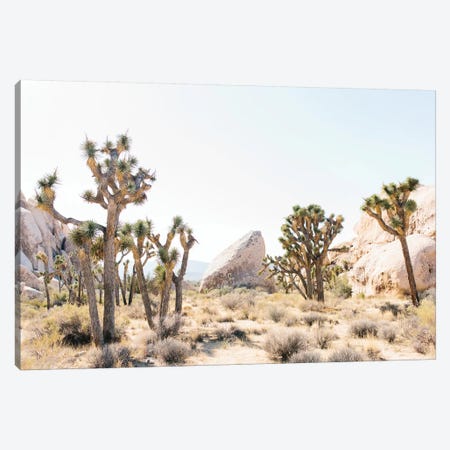 Desert Landscape I, Joshua Tree, California Canvas Print #LLH50} by lovelylittlehomeco Art Print