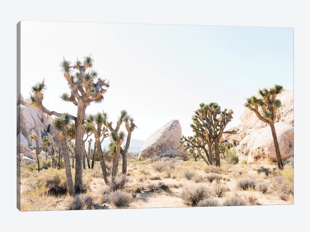 Desert Landscape I, Joshua Tree, California by lovelylittlehomeco 1-piece Canvas Print