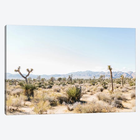 Desert Landscape III, Joshua Tree, California Canvas Print #LLH52} by lovelylittlehomeco Canvas Print