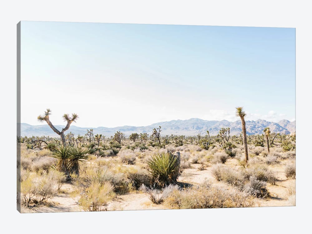 Desert Landscape III, Joshua Tree, California by lovelylittlehomeco 1-piece Canvas Art Print