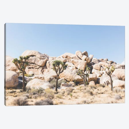 Desert Landscape IV, Joshua Tree, California Canvas Print #LLH53} by lovelylittlehomeco Art Print