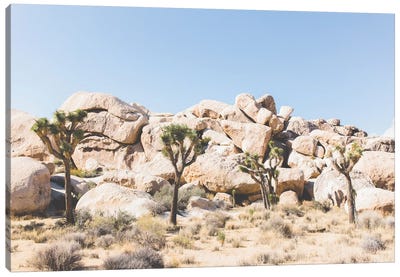 Desert Landscape IV, Joshua Tree, California Canvas Art Print - lovelylittlehomeco