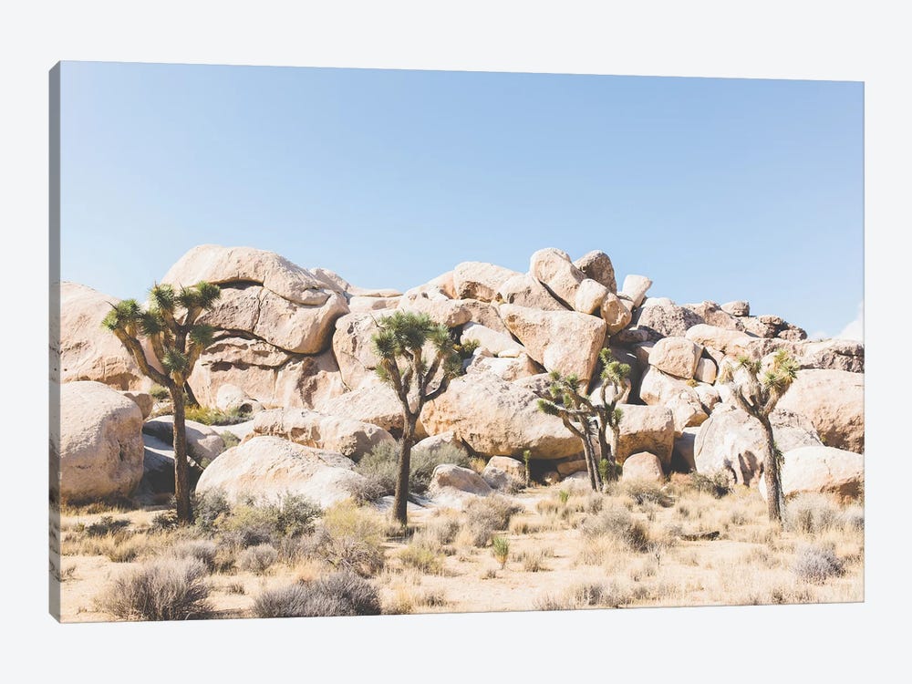 Desert Landscape IV, Joshua Tree, California by lovelylittlehomeco 1-piece Canvas Art