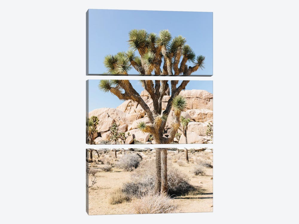 Desert Landscape V, Joshua Tree, California by lovelylittlehomeco 3-piece Art Print