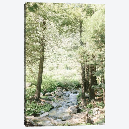Forest, Big Sur, California Canvas Print #LLH63} by lovelylittlehomeco Canvas Artwork