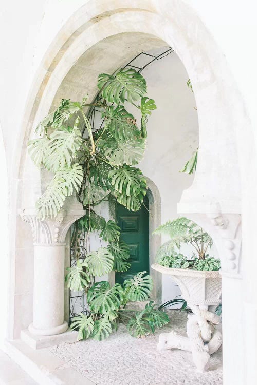 Monstera Leaf Plant, Portugal by lovelylittlehomeco wall art
