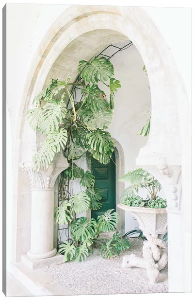 Monstera Leaf Plant, Portugal Canvas Art Print - Reclaimed by Nature