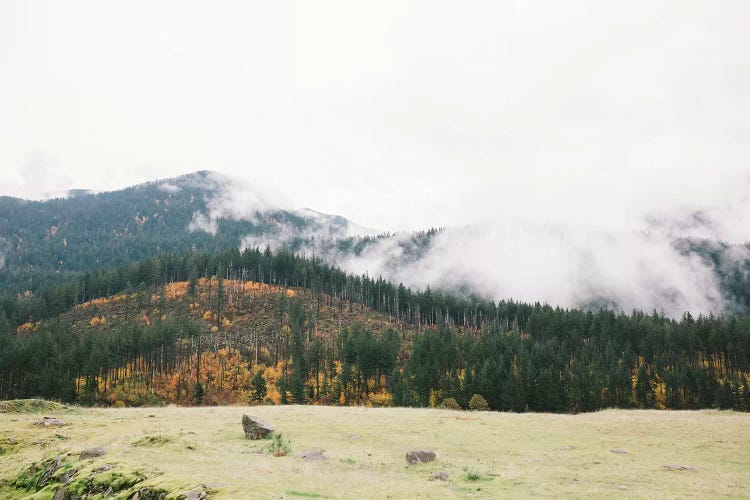 Mountains, Portland, Oregon by lovelylittlehomeco wall art