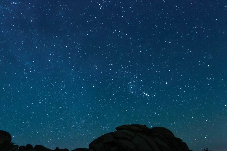 Night Sky, Joshua Tree, California