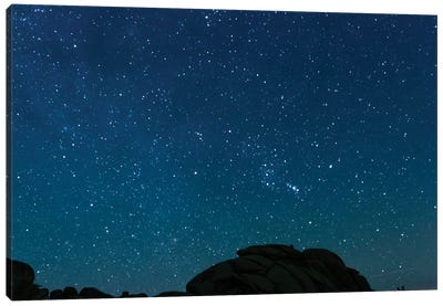 Night Sky, Joshua Tree, California Canvas Art Print - Joshua Tree National Park