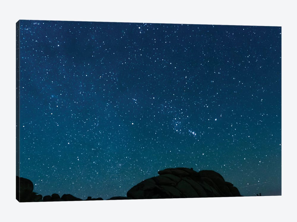 Night Sky, Joshua Tree, California by lovelylittlehomeco 1-piece Canvas Artwork