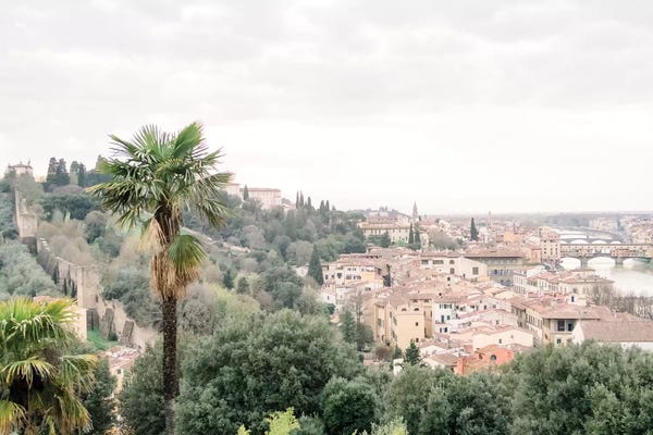 lovelylittlehomeco: Palm Tree, Tuscany, Italy by lovelylittlehomeco