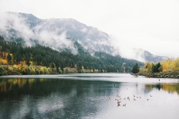 Cottagecore Goes Coastal: Portland In The Fall I, Portland, Oregon by lovelylittlehomeco