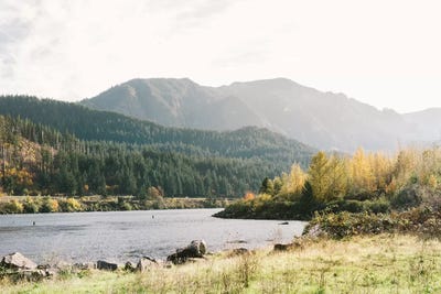 Portland In The Fall II, Portland, Oregon by lovelylittlehomeco framed canvas print