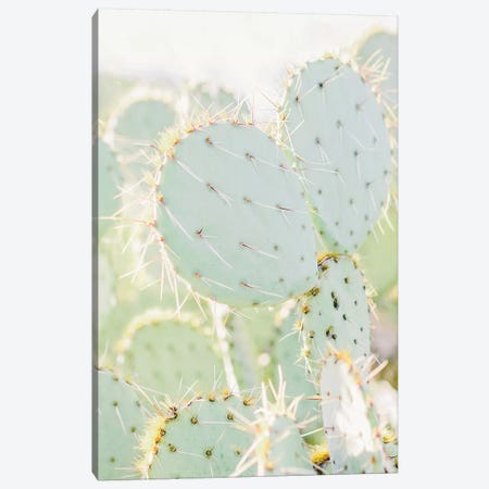 Prickly Pear I, Tuscon, Arizona Canvas Print #LLH99} by lovelylittlehomeco Art Print