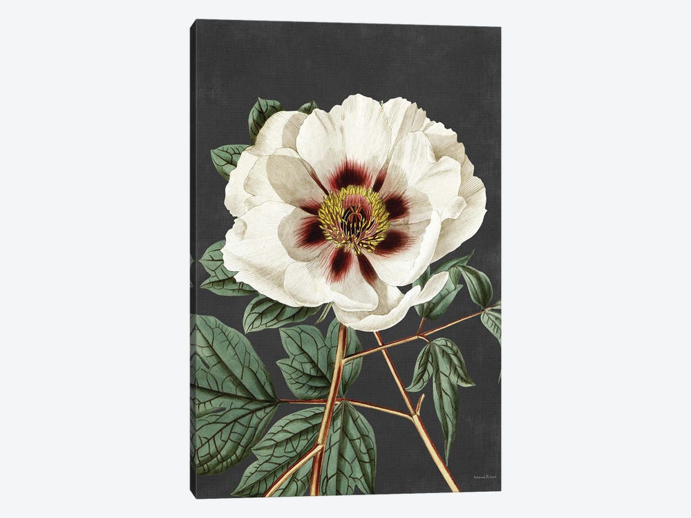 Vintage Rose by lettered & lined 1-piece Canvas Print