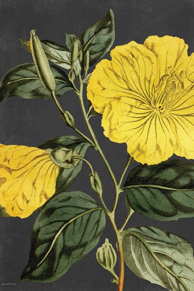 Yellow Vine by lettered & lined canvas print