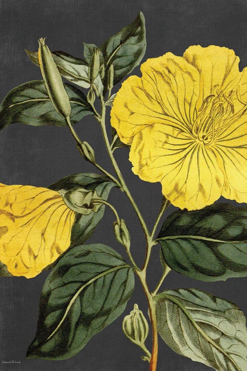 Yellow Vine