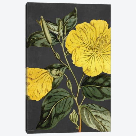 Yellow Vine Canvas Print #LLI105} by lettered & lined Canvas Print