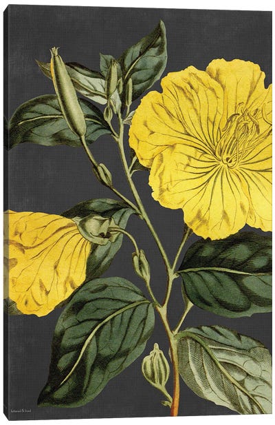 Yellow Vine Canvas Art Print