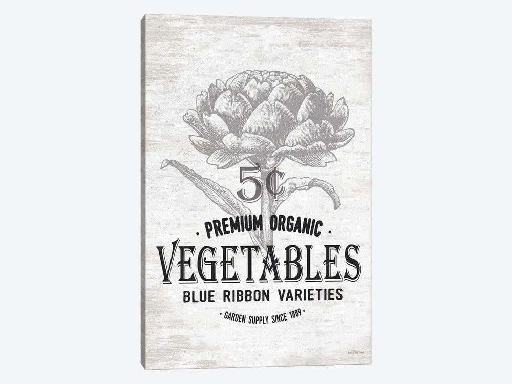 Vegetables by lettered & lined 1-piece Canvas Art Print