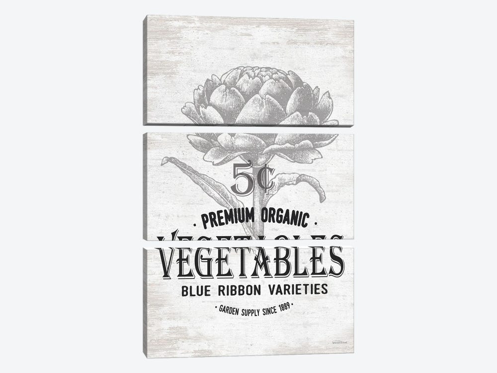 Vegetables by lettered & lined 3-piece Canvas Print
