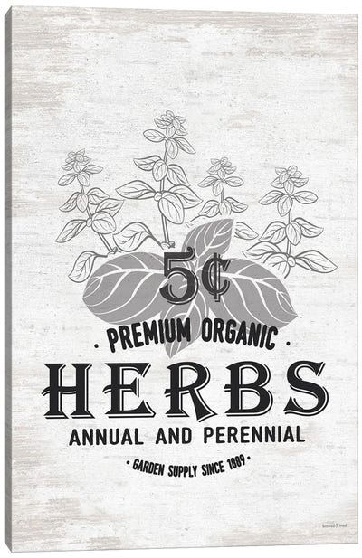 Herbs Canvas Art Print - lettered & lined