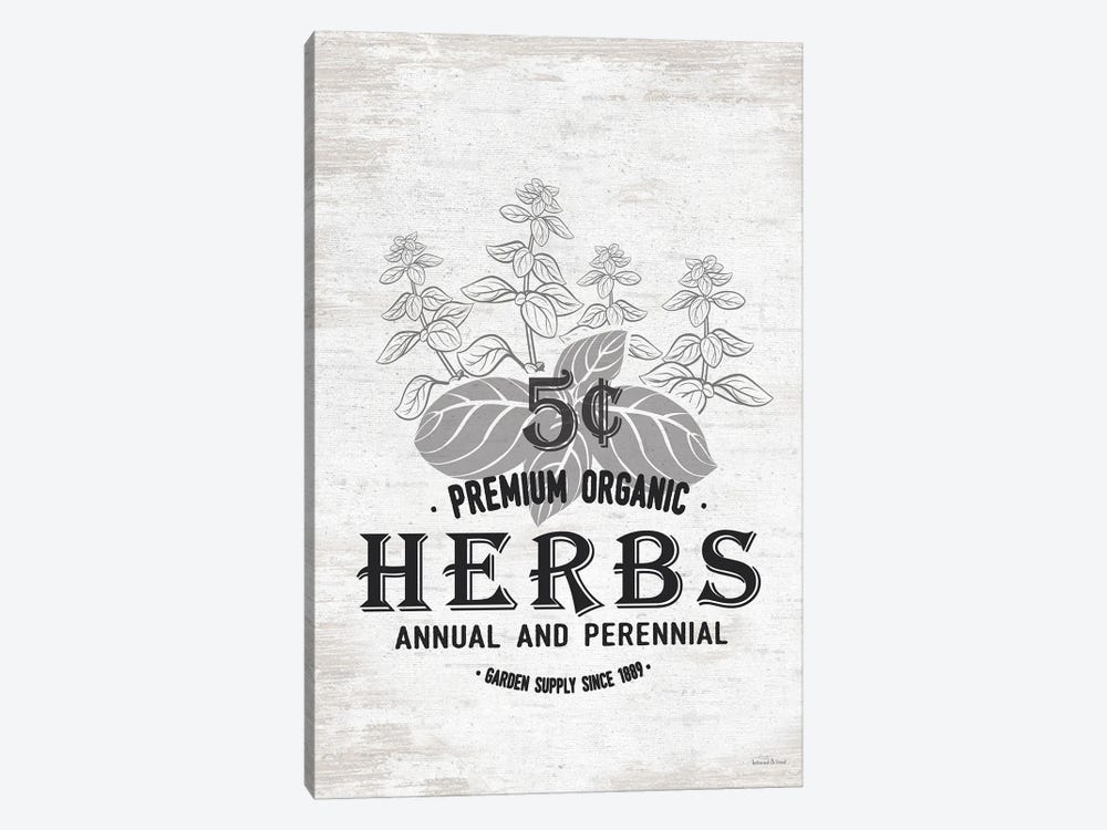 Herbs by lettered & lined 1-piece Canvas Art