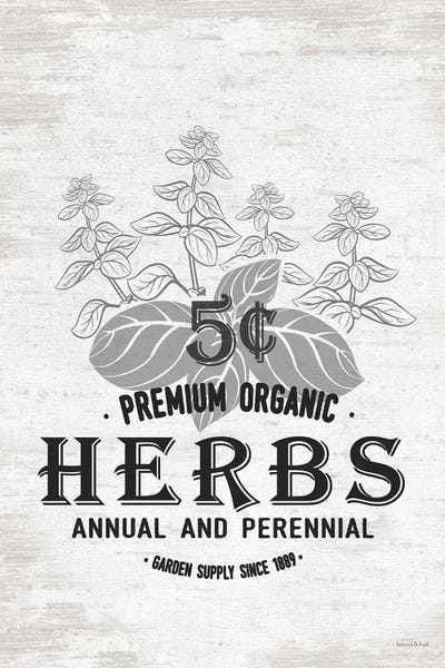 Modern Farmhouse Décor: Herbs by lettered & lined