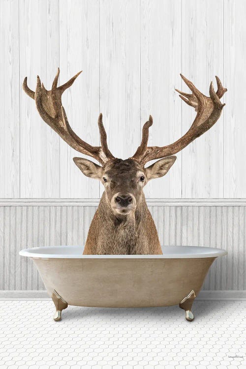 Bath Time Deer