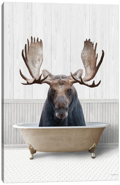 Bath Time Moose Canvas Art Print - Deer Art