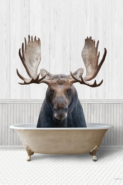 Bath Time Moose