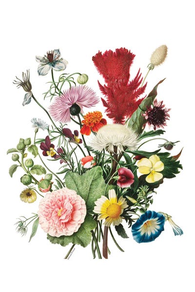 Gardening: Flourishing Floral by lettered & lined