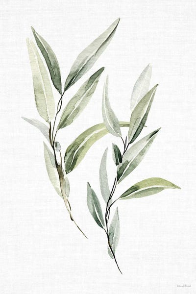 Leafy Retreat XI by lettered & lined art print