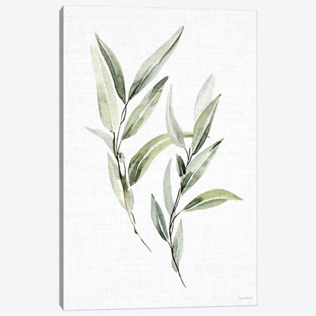 Leafy Retreat XI Canvas Print #LLI124} by lettered & lined Art Print