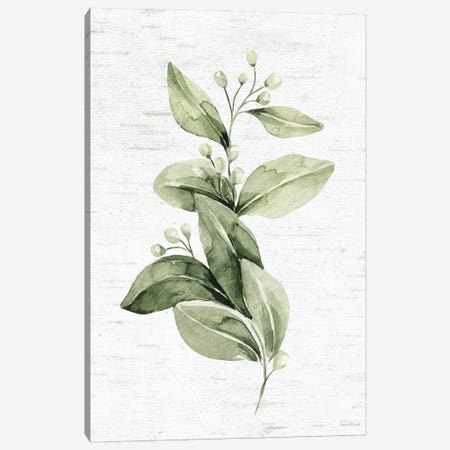 Leafy Retreat V Canvas Print #LLI126} by lettered & lined Canvas Art Print
