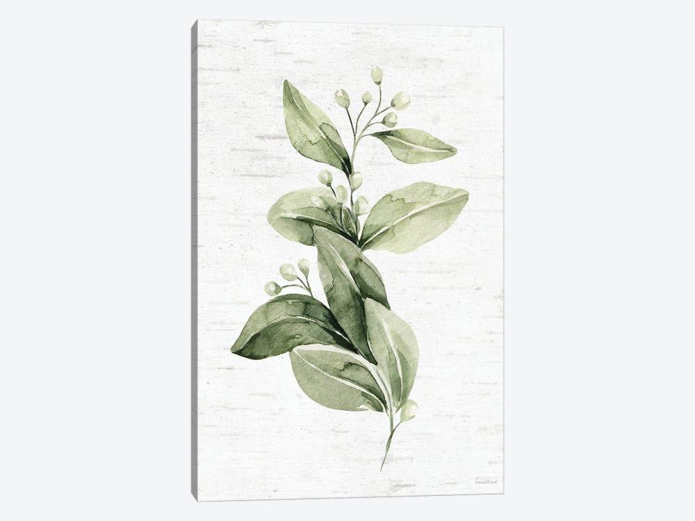 Leafy Retreat V by lettered & lined 1-piece Canvas Wall Art