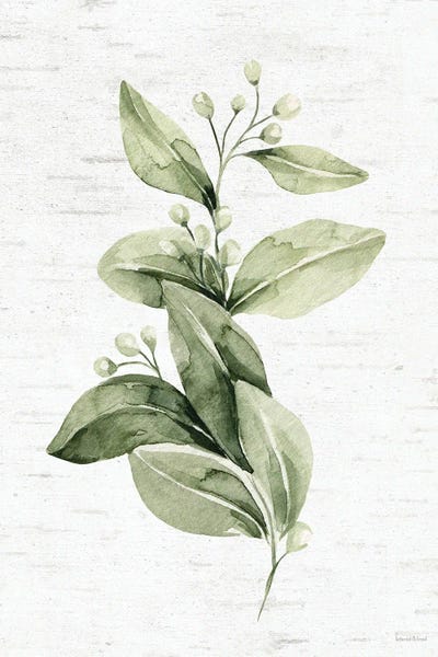 Gardening: Leafy Retreat V by lettered & lined