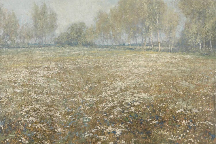 Field of Flowers