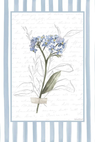 lettered & lined - Framed Fine Art Prints: Sprig of Forget-Me-Nots by lettered & lined