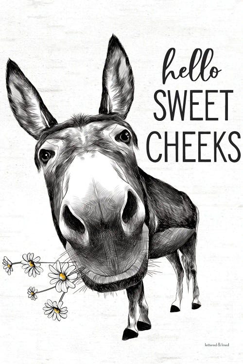 Hello Sweet Cheeks Donkey