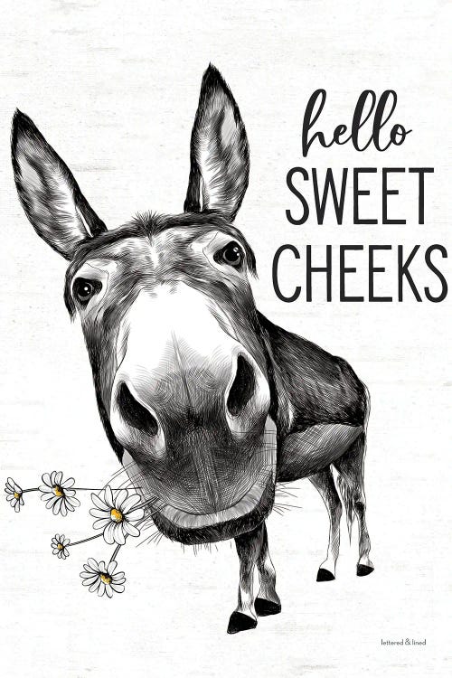 Hello Sweet Cheeks Donkey by lettered & lined wall art