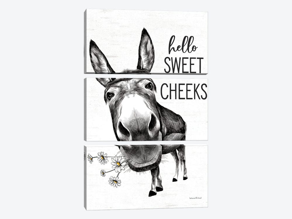 Hello Sweet Cheeks Donkey by lettered & lined 3-piece Canvas Artwork