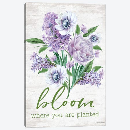 Bloom Where You Are Planted Canvas Print #LLI6} by lettered & lined Canvas Print
