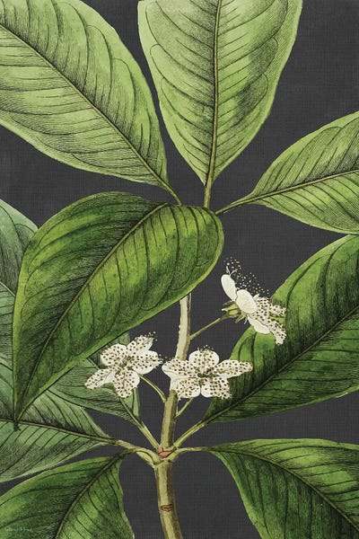 Modern Farmhouse Décor: Grand Leaves by lettered & lined