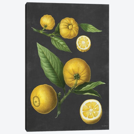 Lemon Citrus Canvas Print #LLI79} by lettered & lined Canvas Wall Art