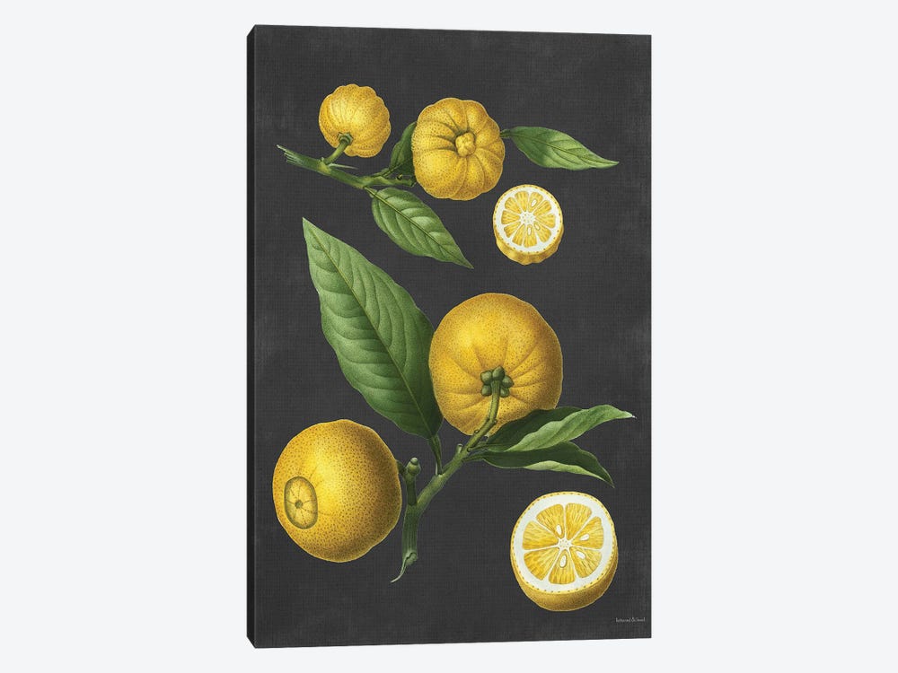 Lemon Citrus by lettered & lined 1-piece Canvas Print