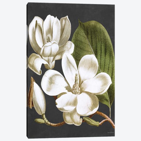 Magnolia Canvas Print #LLI87} by lettered & lined Canvas Wall Art