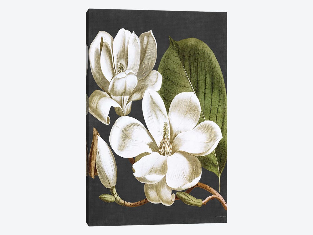 Magnolia by lettered & lined 1-piece Canvas Artwork